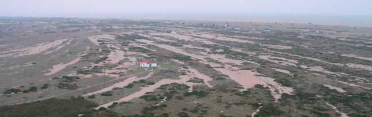 图1：Dungeness Foreland的砾石脊 （面向东北方向）