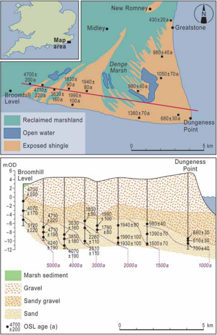 图3：Dungeness Foreland表层砂体年龄分布 （上图）横跨Dungeness Foreland钻探的钻孔中获得的表层砂年龄分布。（下图）西-东剖面（上图中红线所示），显示下层砂的OSL年龄